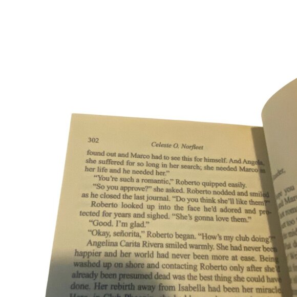 Reflections Of You By Celeste O. Norfleet 2004 Paperback Novel Romance Drama - Picture 4 of 8